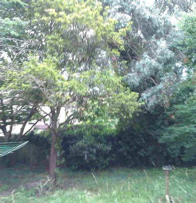 Hill Crescent-1