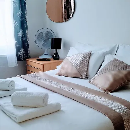 Central Comfort Rooms-3
