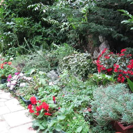 Dawson Place, Juliette'S Bed And Breakfast-3