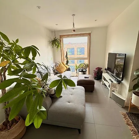Double Room To Let In Stylish Cosy Flat In Hackney!-2
